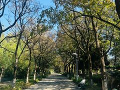 -白塘生态植物园