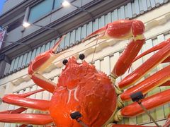 -蟹道乐(道顿堀本店)