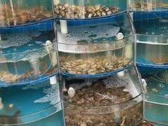 水产区-同道蒸汽海鲜烧烤自助(刘庄夜市店)
