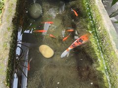 -赤宴·川菜(玉林店)