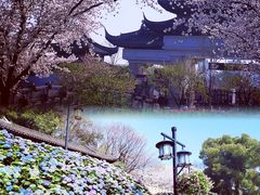 -苏州上方山国家森林公园