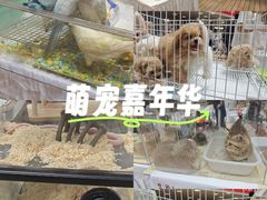 -上海长风大悦城