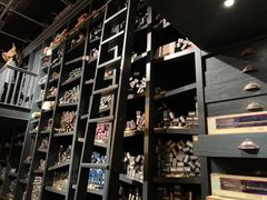 -九又四分之三站台哈利波特商店