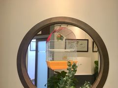 -秦汉胡同古筝围棋国学书院(罗湖分馆)