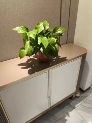 -漂亮妈妈通乳·塑形·产后恢复(奥体店)