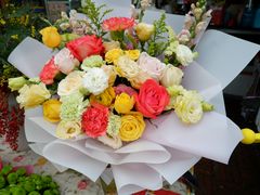 -三圣花乡旅游区