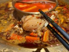 特色美蛙-哥老官重庆美蛙鱼头(虹口龙之梦店)