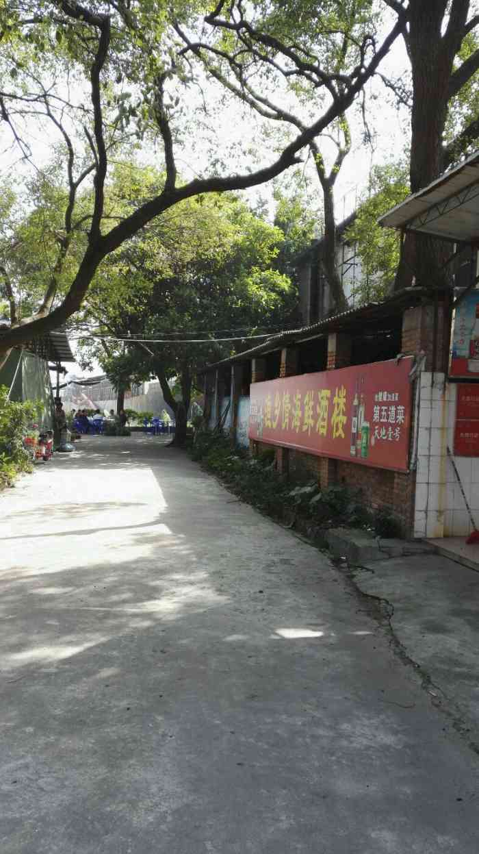 渔乡情海鲜酒楼-"江门崖门旧渔港,跟导航开到镇十字路口,再.