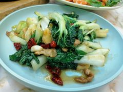 -OLD TREE老树咖啡·西餐厅(台山人工湖店)