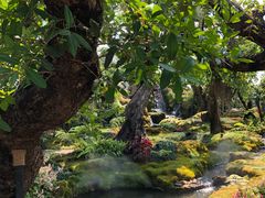 -Chom Cafe and Restaurant