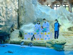 -帝企鹅自助餐厅•儿童岛•真企鹅(长隆企鹅酒店)