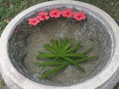 -三亚珠江南田温泉度假区