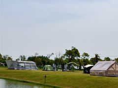 -春花秋色城市公园