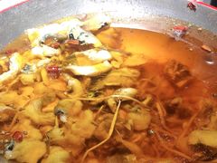 -雲蜀龙阁·金牌水煮鱼(方庄店)