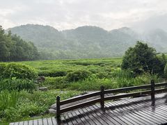 -中国茶叶博物馆(双峰馆区)