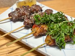 京葱鸡肉串-爱米粒家