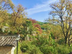-塔川景区