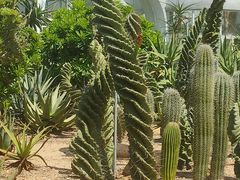 -深圳仙湖植物园