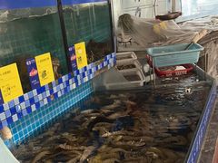 -天天鱼港·海鲜·鲅鱼水饺·招牌烤鸭(黄骅店)