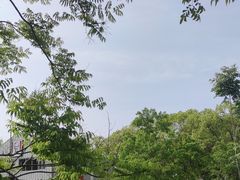 -昆山城市生态森林公园