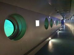 -白鹤梁水下博物馆