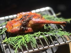 -地球美食剧场