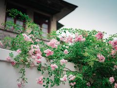 -颐和路民国时期公馆-风貌区