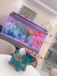 -安院长·产后恢复·徒手骨盆(先天下店)