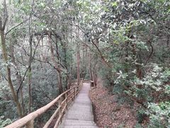 -五泄景区