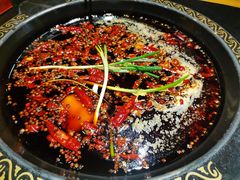 -一斗火锅·招财羊毛肚(泰吉滨江店)