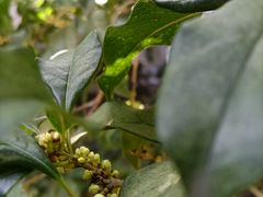 -小雅青年旅舍(平江路店)