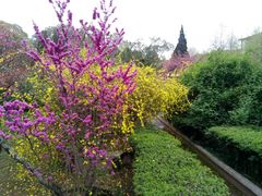 -陕西理工大学(北校区)