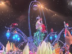 -广州长隆国际大马戏