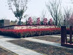 -春花秋色城市公园