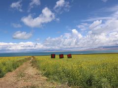 -青海湖国家重点风景名胜区