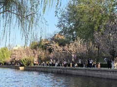 -元大都城垣遗址公园