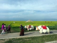 -青海湖国家重点风景名胜区