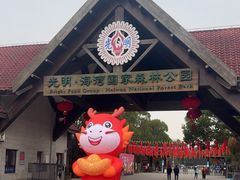 -上海海湾国家森林公园