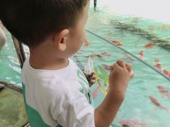 -陕西自然博物馆