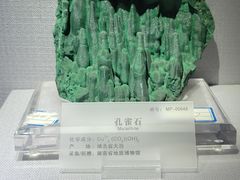 -湖南省地质博物馆