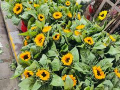 -循礼门鲜花花市(武汉循礼门店)