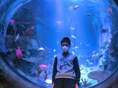 -沈阳海洋探索中心