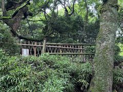 -绮园景区