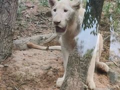 -泉州海丝野生动物世界