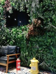 -T.1 hair salon烫染接发