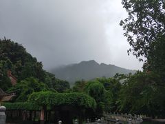 -灵光寺