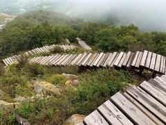 -白草畔自然风景区