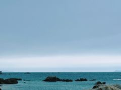 -花海间·即刻露营