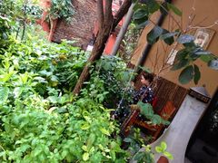 iphone_upload_pic-嘉善老市