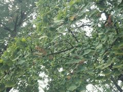 -南京双门楼宾馆(盐仓桥地铁站阅江楼店)